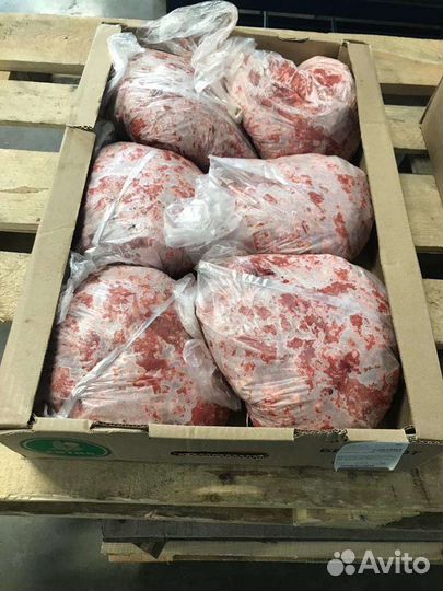 Корм для собак