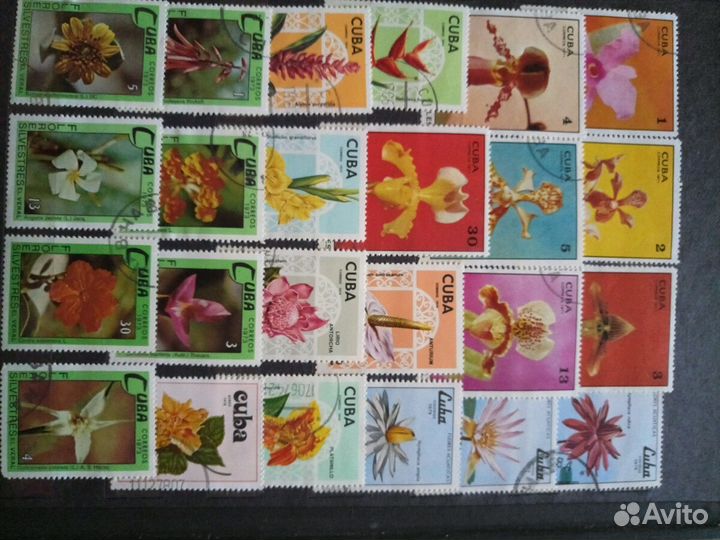 Почтовые марки СССР в альбомах, в добрые руки