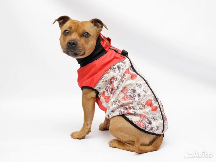 Жилетка для собак