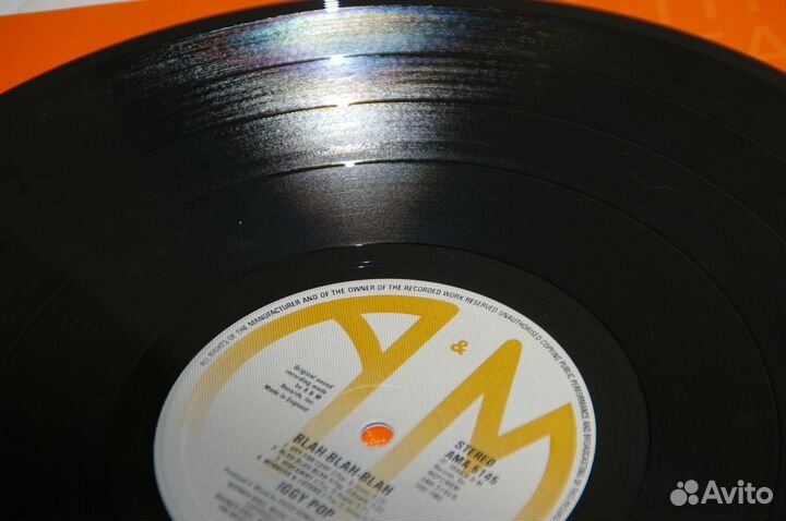 Пластинки Status Quo, Iggy Pop