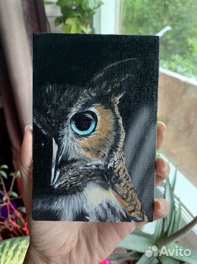 Картина маслом сова