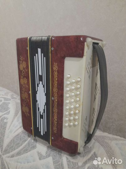 Гармонь нарач2