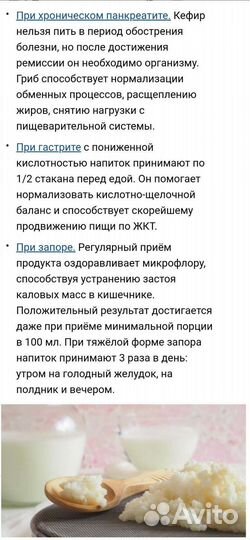 Кефирный гриб