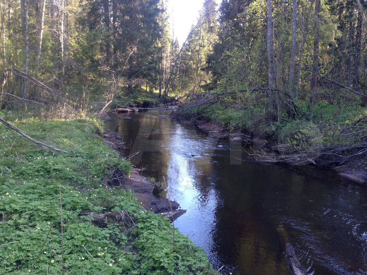 Участок 10 сот. (СНТ, ДНП)