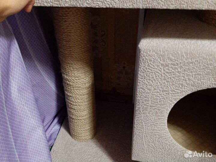 Когтеточка