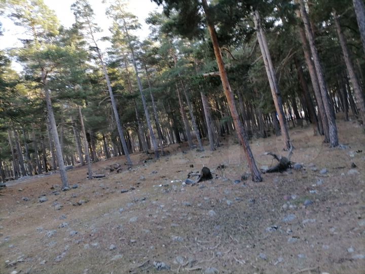 Участок 5 сот. (ИЖС)