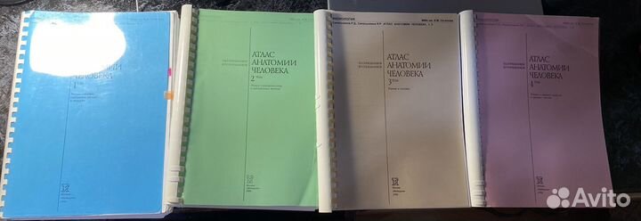 Атлас анатомии человека синельников