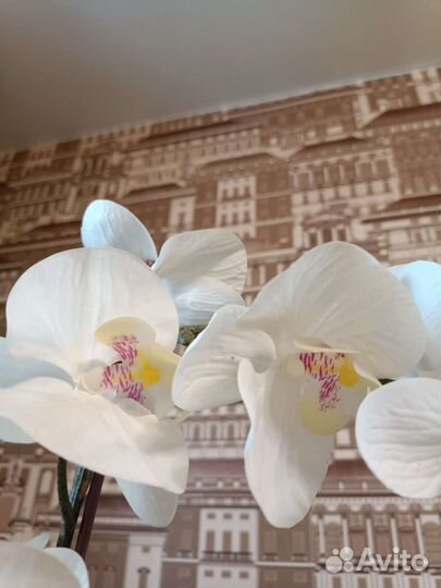 Орхидея фаленопсис искусст. Икеа