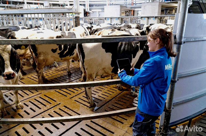 Доильный робот для ферм