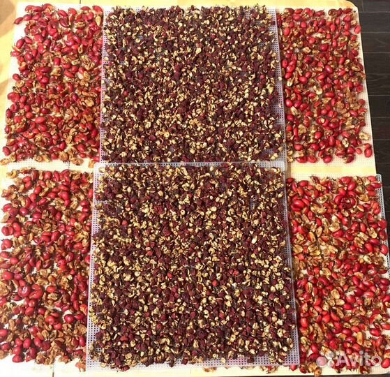 Боярышник сушеный