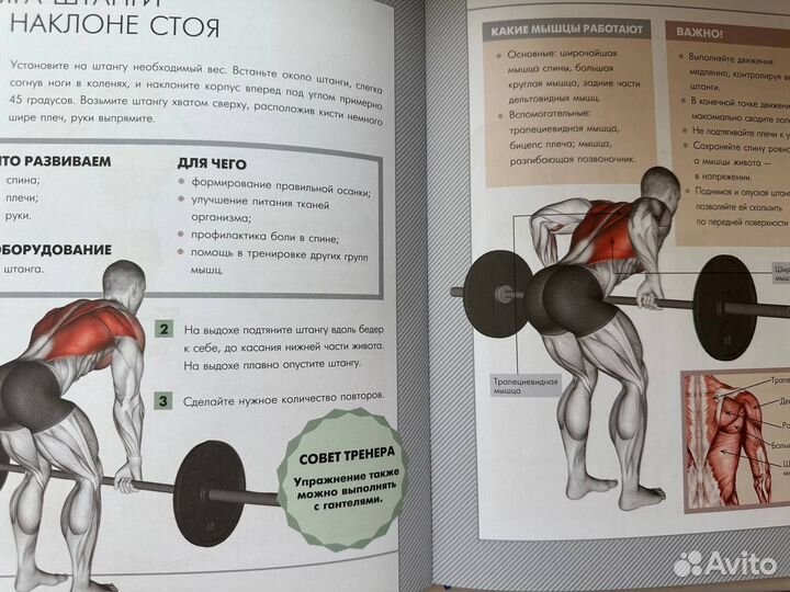 Книга «Анатомия силовых упражнений»