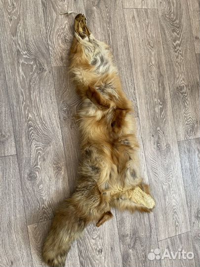 Лисья шкура
