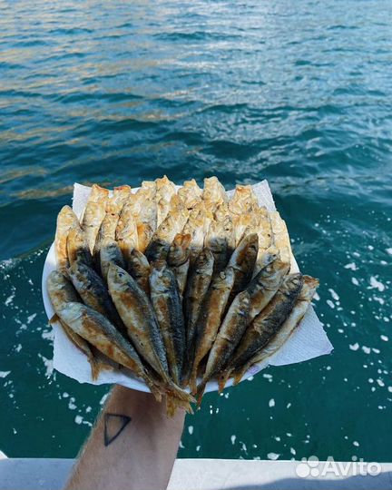 Морская рыбалка в Адлере