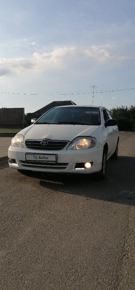 Toyota Corolla: фото владельца