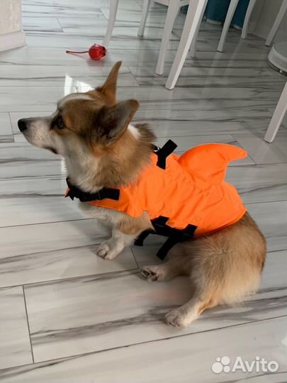 Жилет спасательный плавательный для собаки 