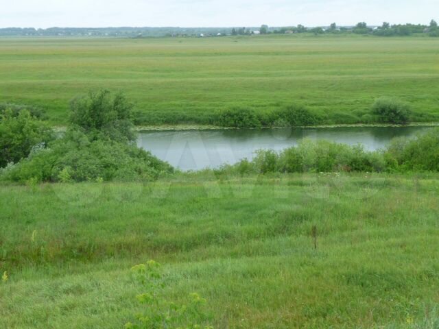 Участок 49 сот. (ИЖС)