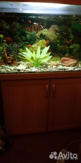 Аквариум
