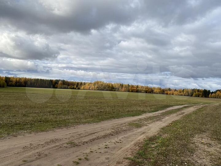 Участок 10 сот. (СНТ, ДНП)