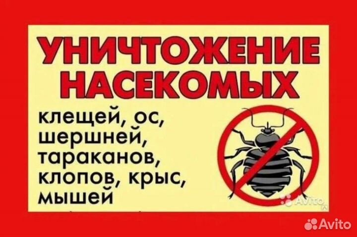 Дезинфекция