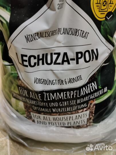 Продам оставшиеся растишки сцинов, эпипремнумов +
