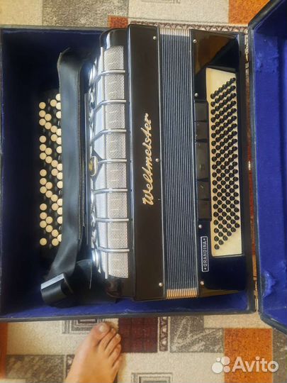 Баян пятирядный