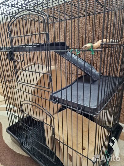 Клетка для шиншиллы