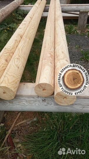 Оцилиндрованное бревно от производителя