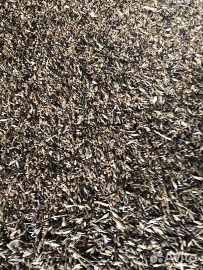 Зерноотходы, комбикорм