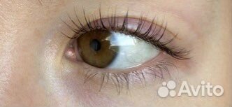 Ламинирование, окрашивание бровей и ресниц