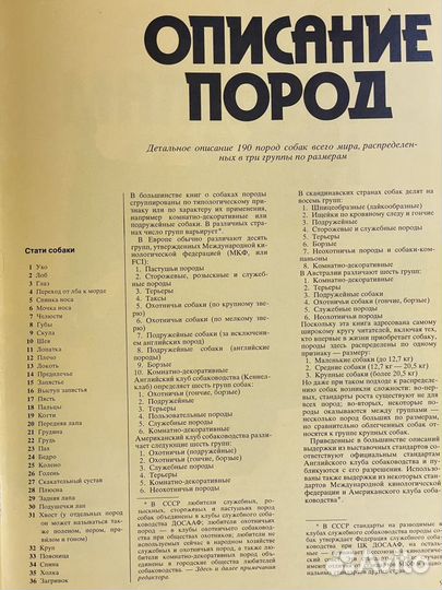 Джоан Палмер:Ваша собака