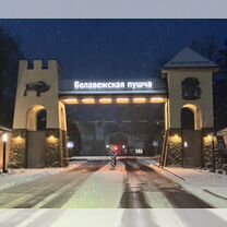 Трансфер Брест-Беловежская пуща и обратно 7 часов, Брест