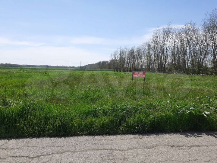 Участок 25 сот. (ИЖС)