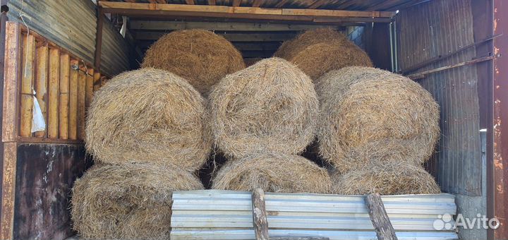 Сено ячменное, солома с подгоном, катушка
