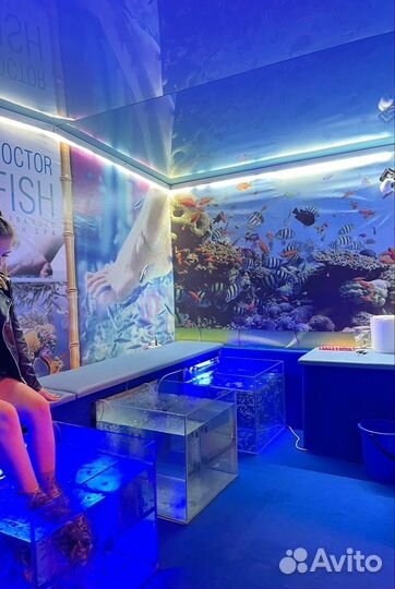 Гарра Руфа — рыбка-доктор