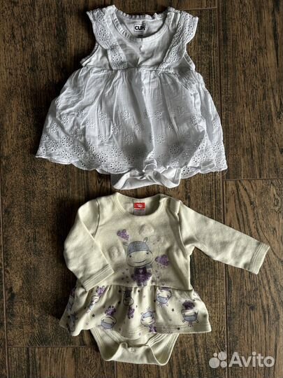 Боди Pelican и Син