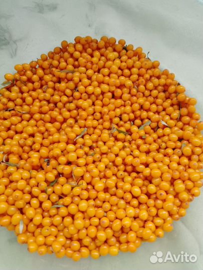 Продам облепиху