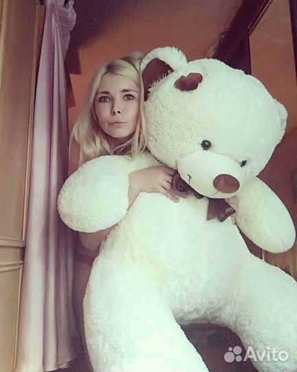 Плюшевый мишка