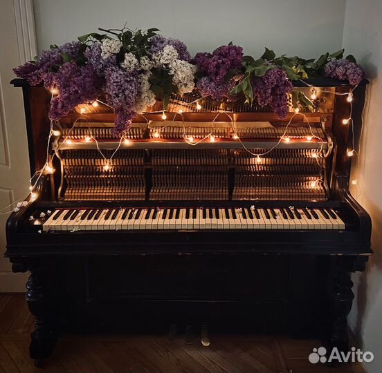 Уроки Фортепиано и Вокала Взрослым и Детям