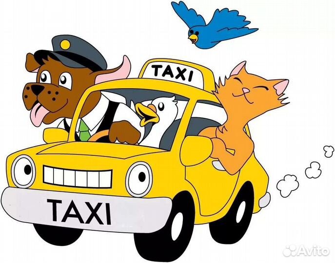 Зоотакси. Перевозка животных