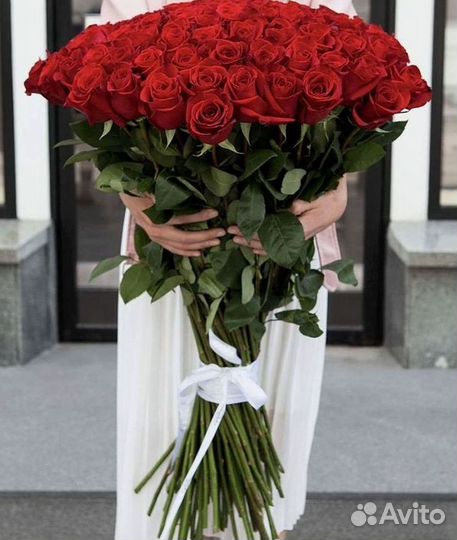 Розы Высокие 150см 160см 170см 180см 190см 2м