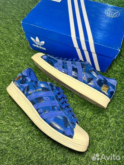 Adidas superstar bape