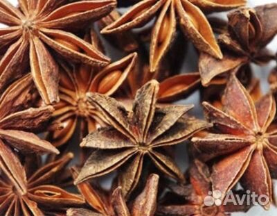 Бадьян звездчатый, Вьетнам