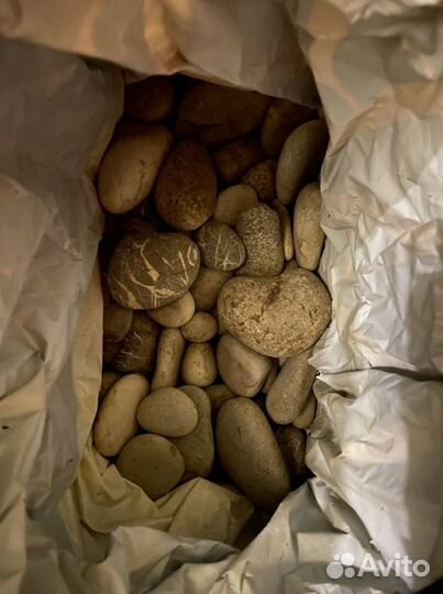 Камни с побережья черного моря