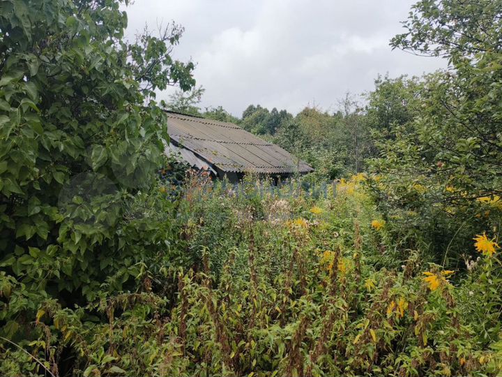 Участок 6 сот. (СНТ, ДНП)