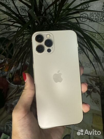 iPhone 12 Pro, 128 ГБ