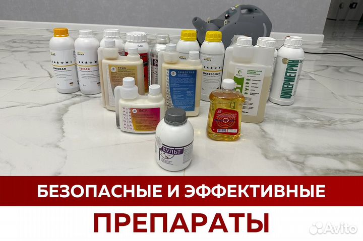 Уничтожение клопов, травить тараканов. Дезинсекция