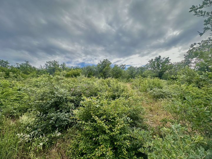 Участок 5,2 сот. (ИЖС)