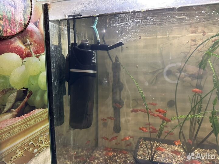 Аквариум комплект