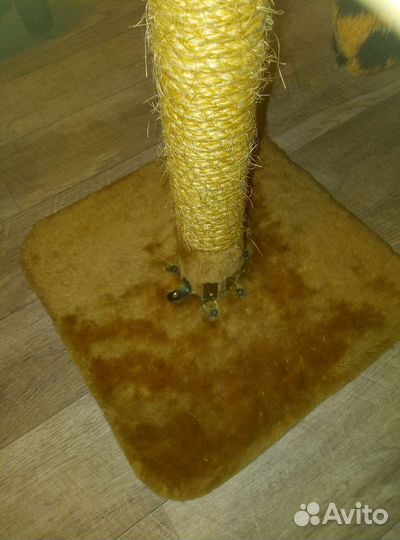 Когтеточка для кошек бу