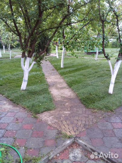 Рулонный газон под ключ